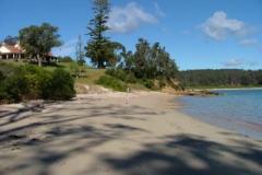 Eden 017